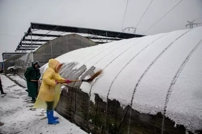 浩口镇多措并举应对低温冰雪天气 