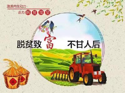 大雪压不垮 脱贫志更坚  