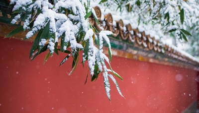 雨雪周开启湖北安徽等地再遭暴雪 寒冷将持续至月底