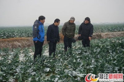 潜江农业专家赶赴受灾地区指导抗灾 减轻农田损失 