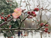 潜江迎来2018年首轮降雪天气