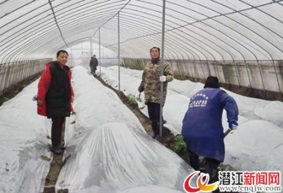 老新镇多措并举保障群众生产生活