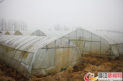 老新农户看市场下订单走上致富路 