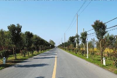 路通 民富 心齐——农村道路升级激发基层向心力