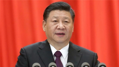 中央政治局同志向党中央和习近平总书记述职