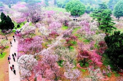 雨水突袭，湖北气温一路下滑 惊蛰过后雷暴天气将渐多