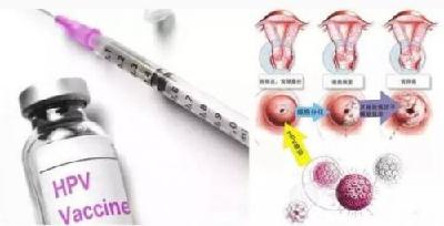 四价宫颈癌疫苗受潜江适龄女性欢迎 接种需提前预约