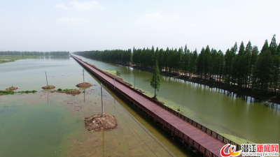 周硕：安静的赛道更能跑出别样的激情