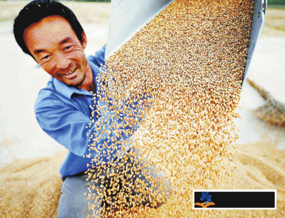 探访粮食生产一线：新技术带来生产方式新转变