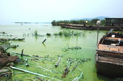 两部门专项督查：黑臭水体治理 21城未达目标