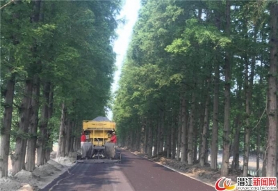 龚定荣检查兴隆绿道建设时要求：加快项目建设 打造美丽赛道