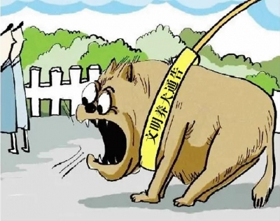 宠物犬伤人事件频发生 不文明养犬现象何时终结？