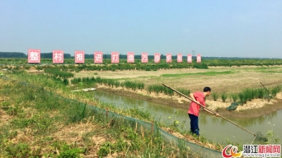 虾稻田里说丰年 乡村振兴好风景