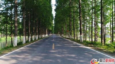 路畅景美客自来