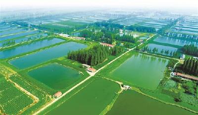 城乡融合的潜江路径：城市梦更舒心 乡村梦更安心