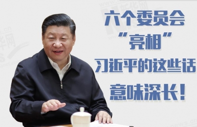 六个委员会首会，习近平强调三个