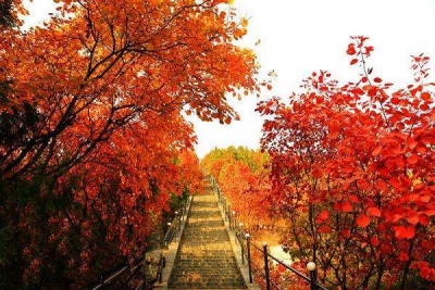 多地景区推门票减免政策 为冬季旅游攒人气