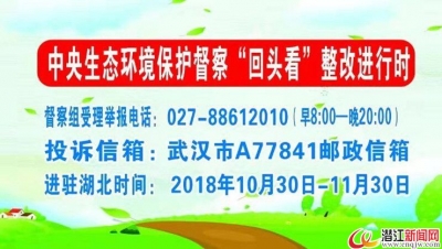 中央第四生态环境保护督察组对湖北省开展“回头看”工作设置专门举报通道 