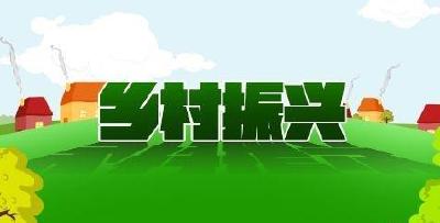 深化农村改革为乡村全面振兴增添新动能——访农业农村部政策与改革司司长赵阳 