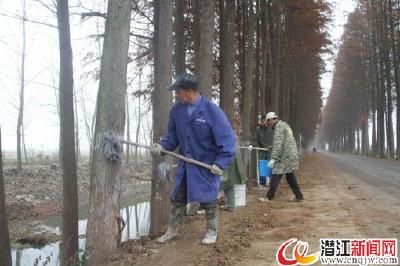 白鹭湖管理区为树木穿“冬衣”