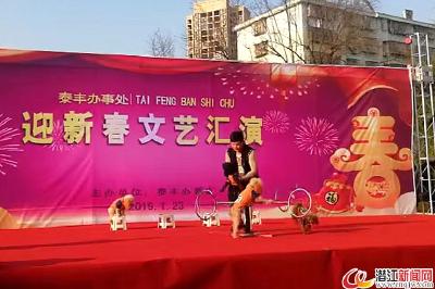 泰丰办事处举办迎新春文艺汇演