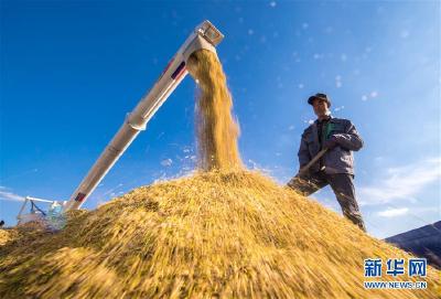 爬坡过坎促振兴——吉林落实习近平总书记全国两会重要讲话精神纪实 