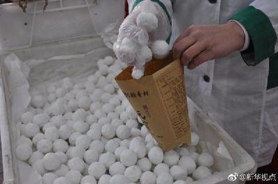 元宵VS汤圆，还傻傻分不清楚？听听专家怎么说