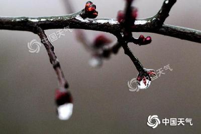 华北等地迎大范围降雪 南方阴雨连绵