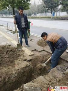 更换电缆百余米 东荆大道路灯恢复照明