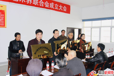 熊口镇文学艺术界联合会成立