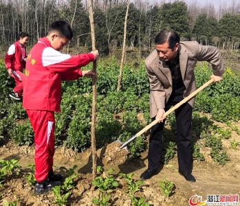 杨市办事处开展义务植树活动