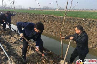 泰丰办事处开展义务植树活动