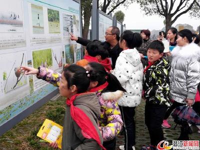 后湖妇联举办走进湿地亲子活动