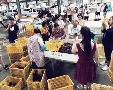 打开就业门 念好“致富经”——潜江小龙虾何以带动15万人就业探秘