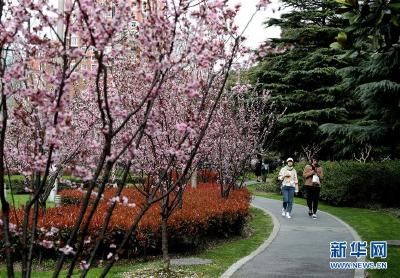 串联城市自然山水人文 共享生态文明建设成果