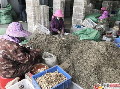 “治贫药包”包出网红“第一店”