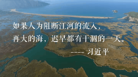 辛识平：读懂习近平的“大海之喻”
