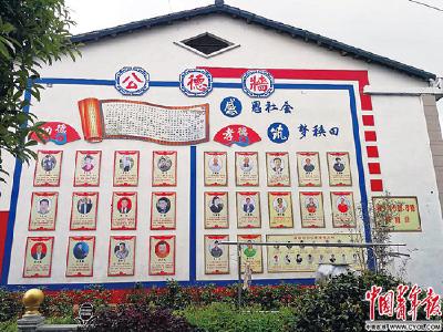 26名博士176名硕士，湖南5000多人的村里有面博士墙