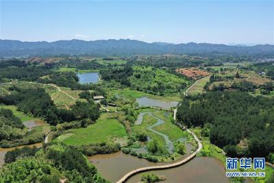 壮丽70年 福建长汀：“山光水浊”之地变生态家园