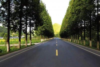 后湖高石碑荣膺全省“四好农村路”示范乡镇
