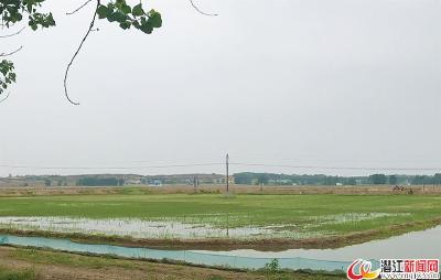 [潜江龙虾 勇闯天下]华山水产：再造一个“华山”