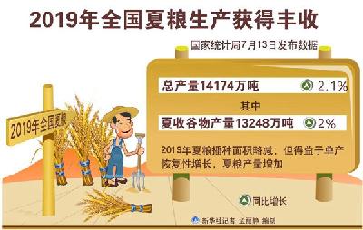 总产量14174万吨！2019年全国夏粮生产获得丰收