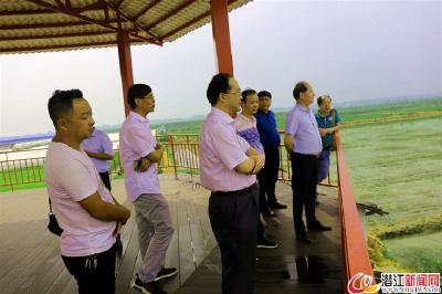 农业农村部赴潜江开展耕地质量专题调研