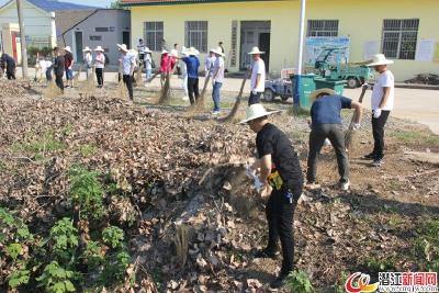 市城管执法局到新林村开展清扫活动