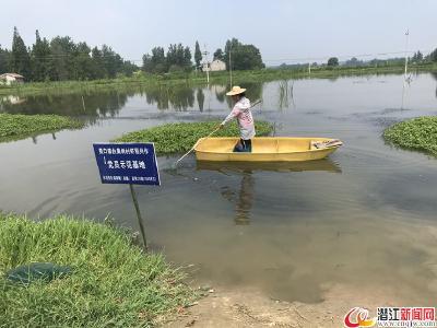 陈翠菊夫妇：白果树村的“最美劳动致富之星”