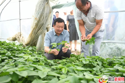 吴祖云调研精准扶贫工作时强调：坚定信心抢抓机遇形成合力 坚决打好打赢脱贫攻坚战