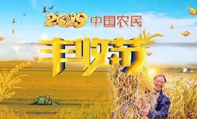 五谷丰登听民声——写在2019年中国农民丰收节之际 