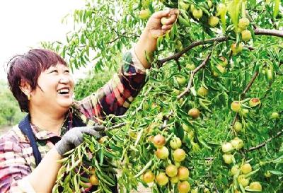 总书记关心的百姓身边事｜绿色农业发展掠影