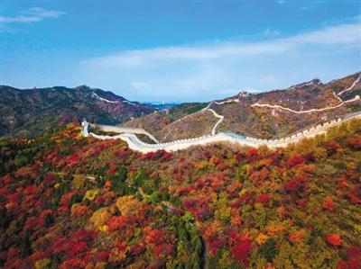 20处“最美秋景”亮相北京市属公园