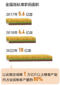 种粮底气十足！今年将建成八千万亩高标准农田